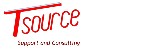 Support and Consulting