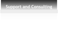 Support and Consulting